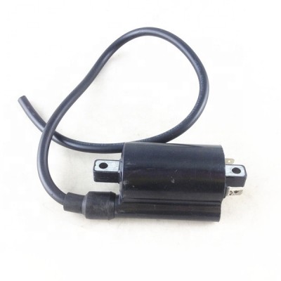 260CC 300CC Linhai ATV Ignition coil for quad bike buggy motorcycle without plug